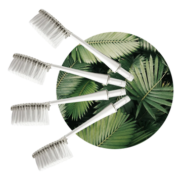 Feature Image