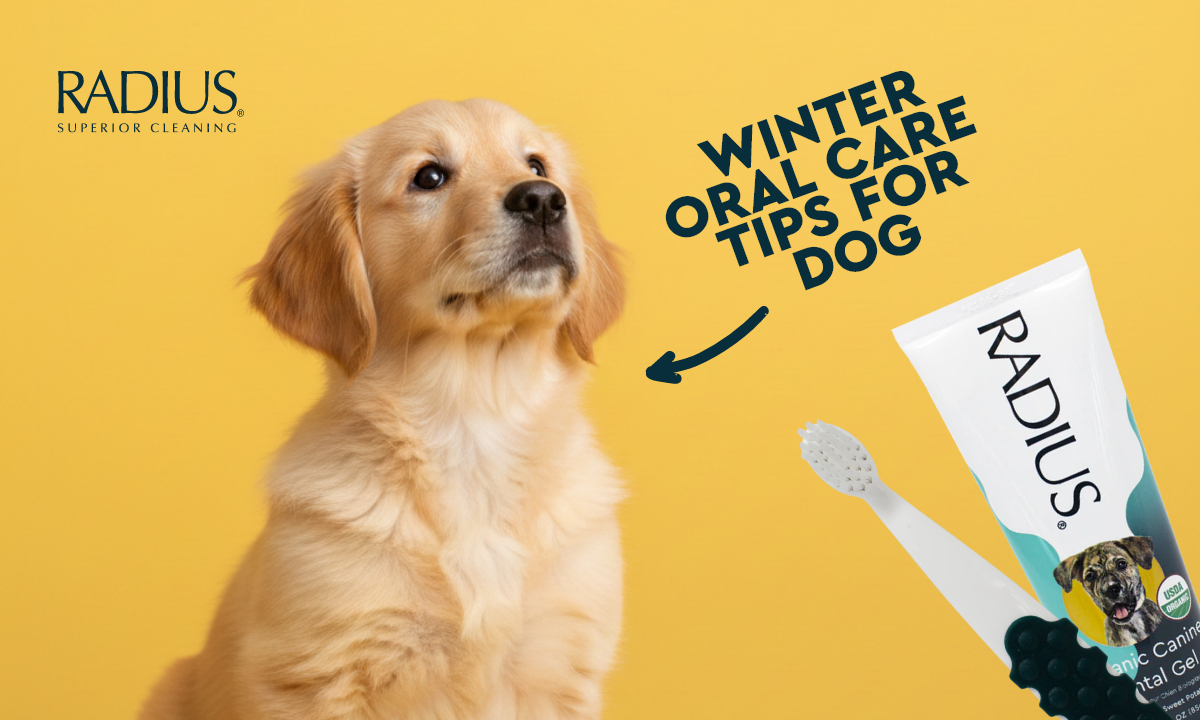 Winter Oral Care Tips for Dogs During Cold, Dry Months