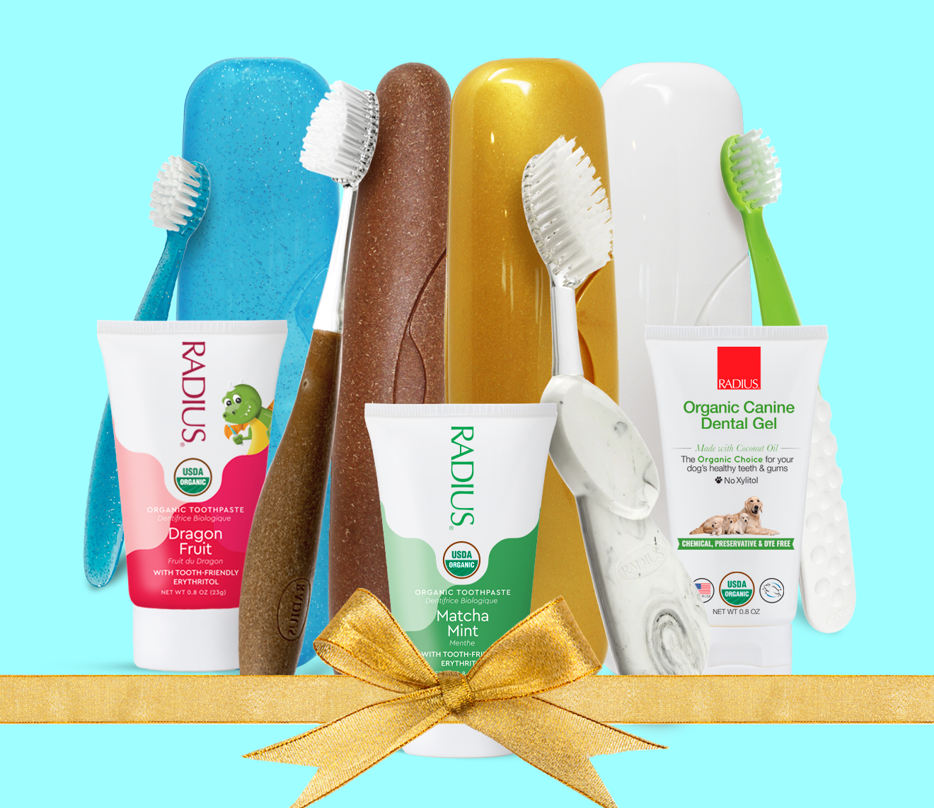 Toothbrush kits: The Perfect Holiday Gift!