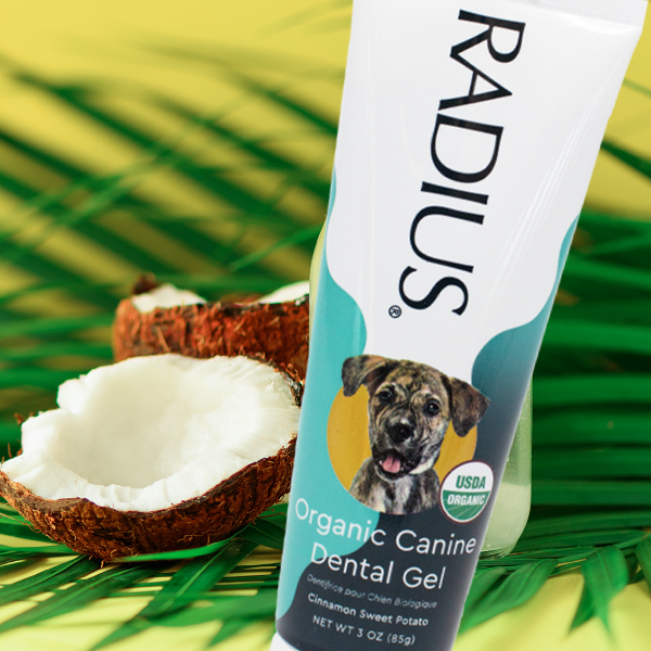 Charcoal toothpaste for clearance dogs
