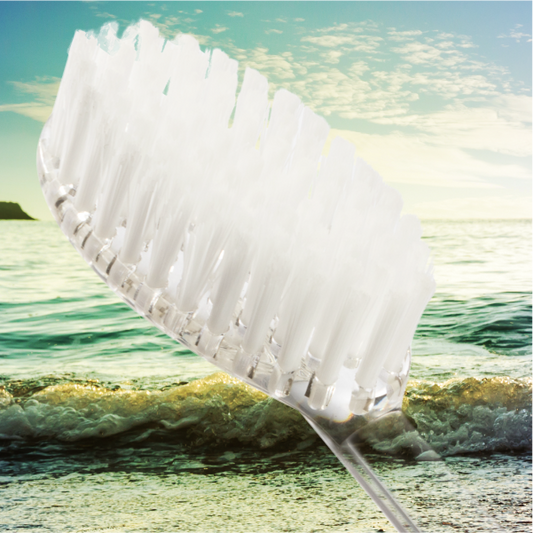 Eco Friendly Toothbrushes Made in the USA