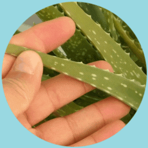 Feature Image