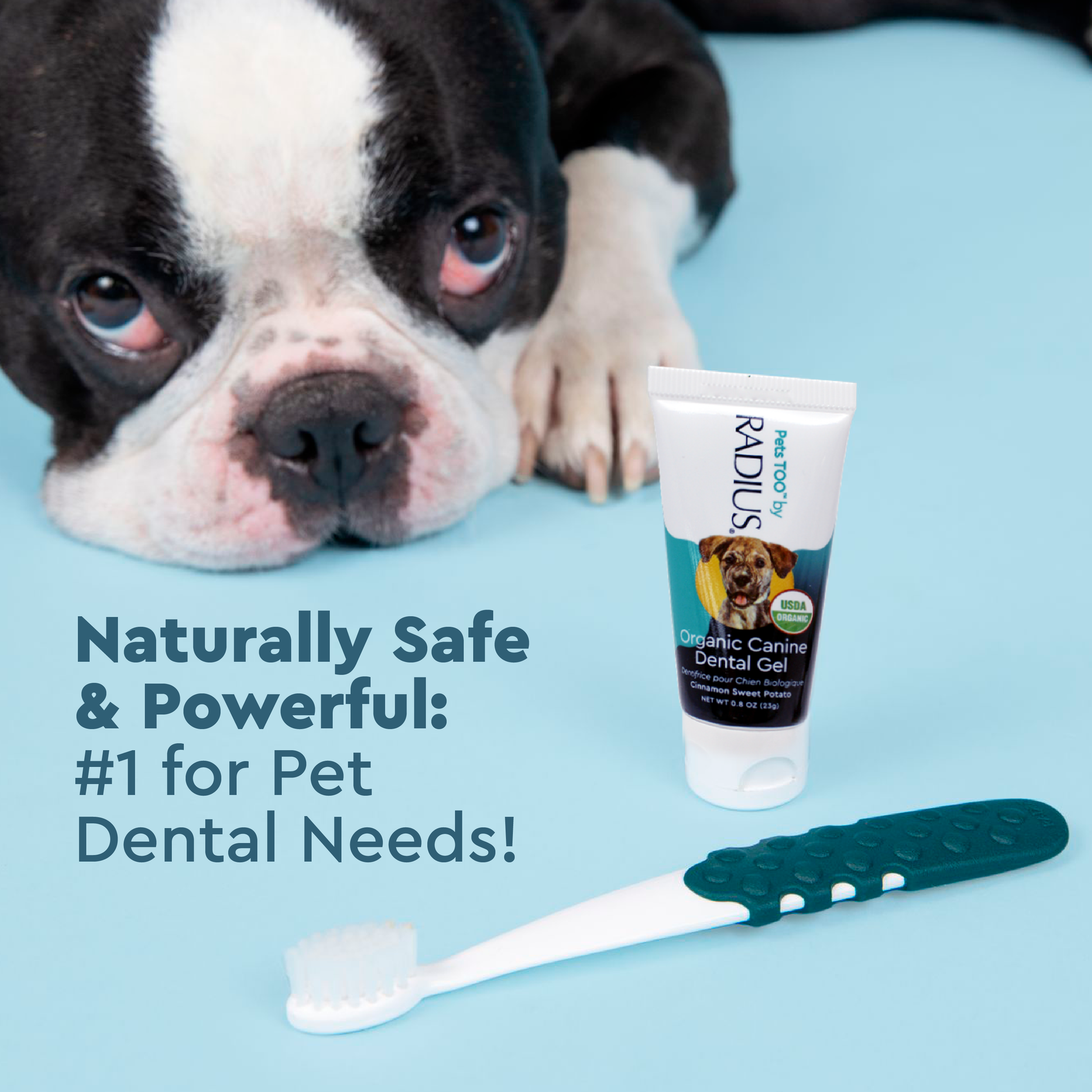 Dog toothpastes online