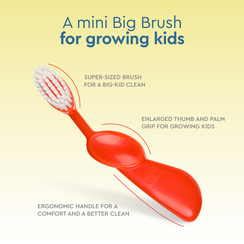 Children s Toothbrush Kids BPA Free Toothbrush children-s-toothbrush-kids-bpa-free-toothbrush