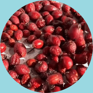 Feature Image