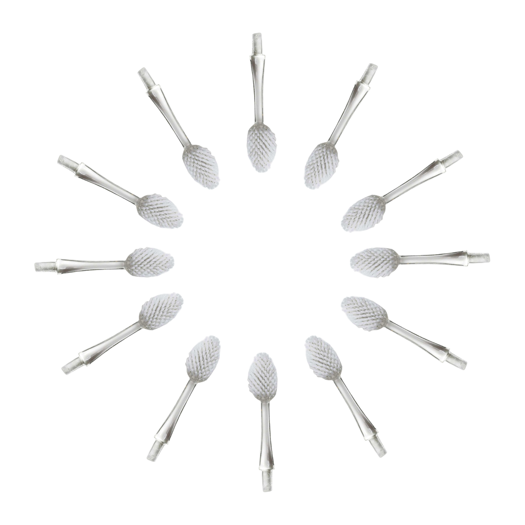 Radius Source & Tour Toothbrush Heads