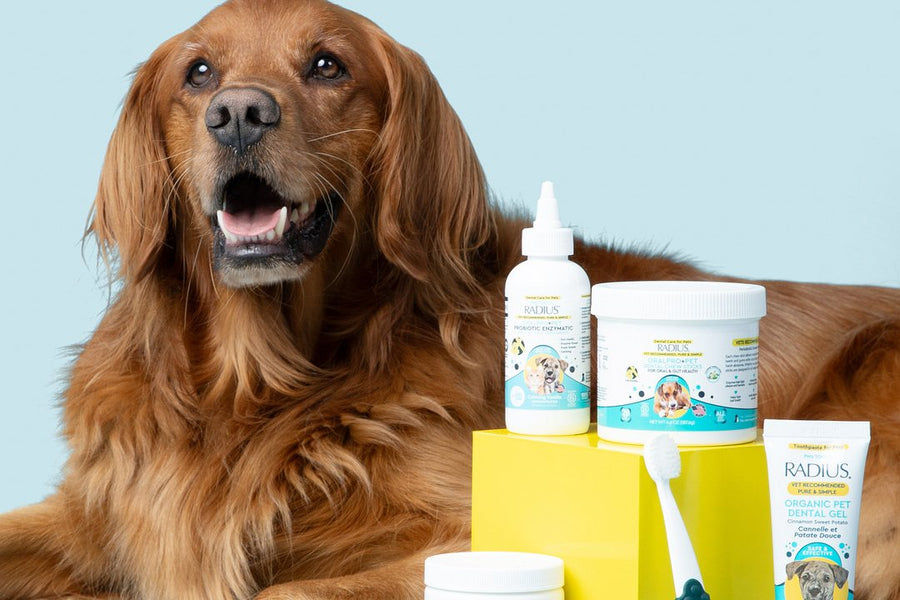Shop Pets