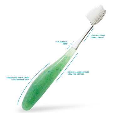 Source™ Replacement Head Toothbrush