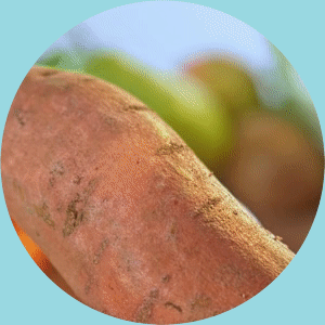 Feature Image