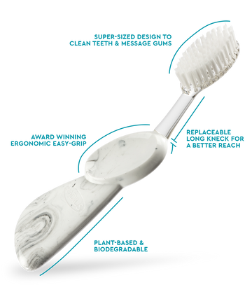 Big Brush with Replaceable Head 10.00% Off Auto renew