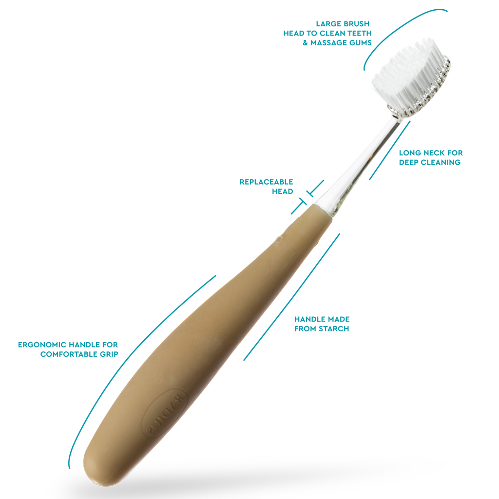 Parts of a toothbrush outlet