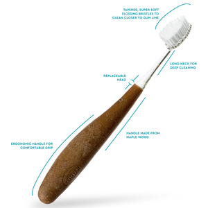Source™ Brush