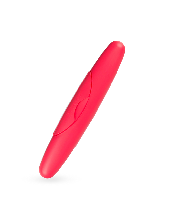 Standard Toothbrush Case