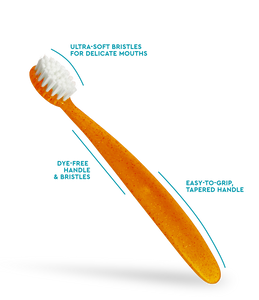 Totz® Brush (18 mo+)